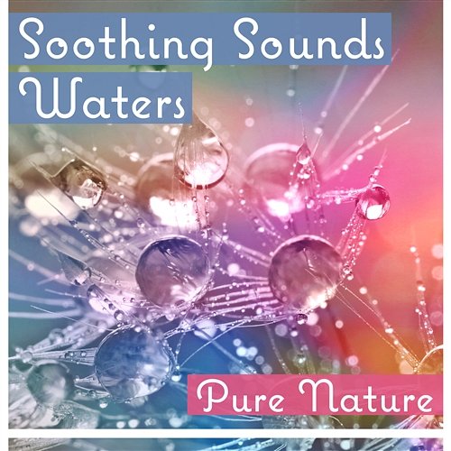 Soothing Sounds Waters: Pure Nature – Therapy Music for Body & Mind, Gentle Rain, Quiet Stream, Sound of the Sea, Peaceful River Healing Waters Zone