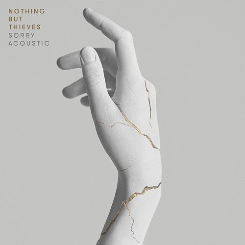 Sorry Nothing But Thieves