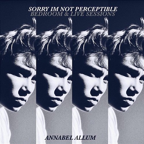 Sorry I'm Not Perceptible Annabel Allum