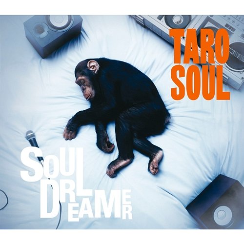 Soul Dreamer TARO SOUL