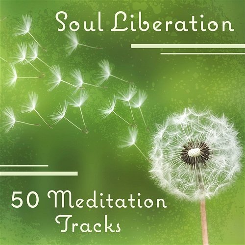 Soul Liberation – 50 Meditation Tracks: Peace of Mind, Celestial Ambient, Music for Reflection, Deep Liquid Thoughts, Spiritual Retreat Stress Relief Calm Oasis