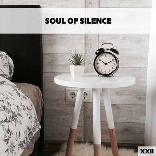 Soul Of Silence XXII Various Artists