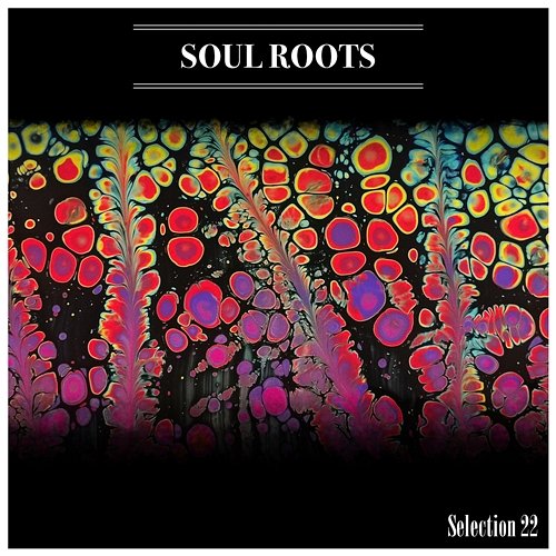 Soul Roots Selection 22 Various Artists