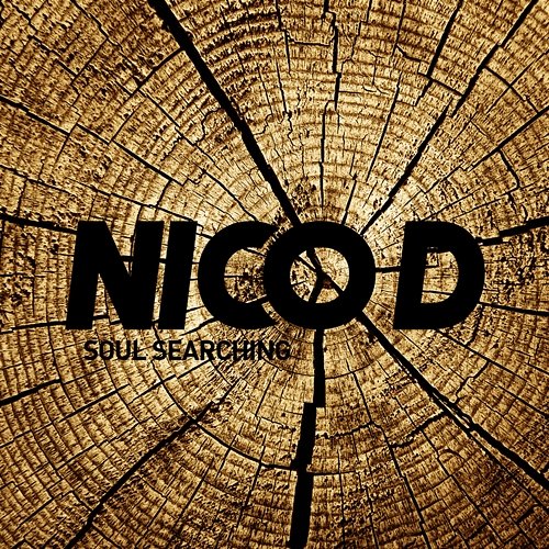 Soul Searching Nico D.