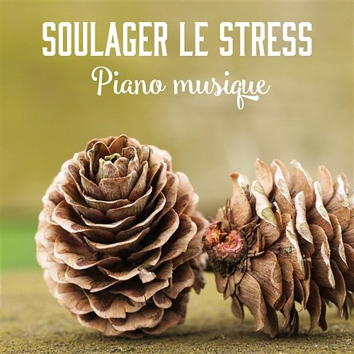 Soulager le stress - Piano musique: Calme moment pour soi même (Vaincre anxiété, Anti stress et Relax) Oasis de musique jazz relaxant