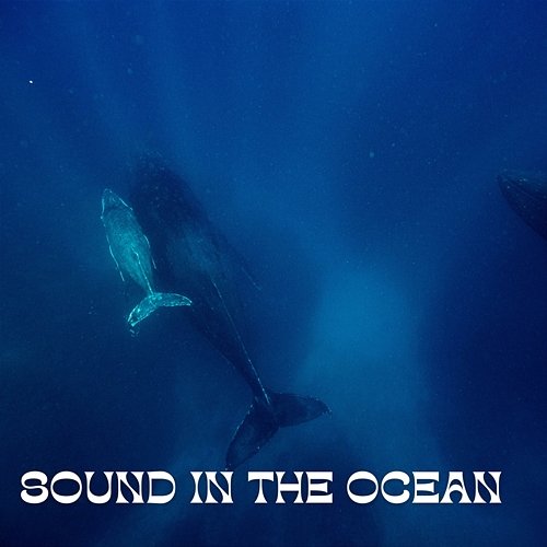 Sound in the Ocean Underwater Sounds Channel, Water Soundscapes, Mother Nature Sound FX