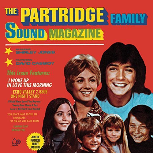 Sound Machine Partridge Family