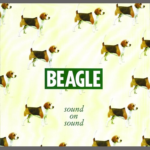 Sound On Sound Beagle