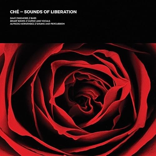 Sounds Of Liberation, płyta winylowa Various Artists