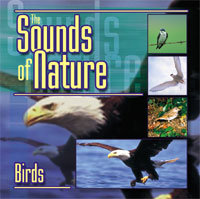Sounds Of Nature - Birds Odgłosy Natury