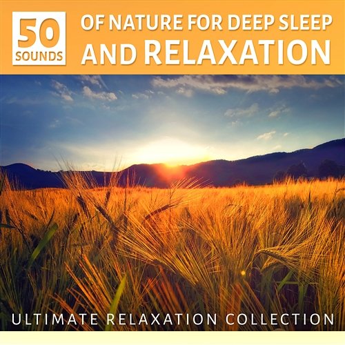 Sounds of Nature for Deep Sleep and Relaxation: Ultimate Instrumental Music Collection, Ocean Waves, Sound of the Forest Ambience and Birds - Yoga Meditation Beautiful Deep Sleep Music Universe
