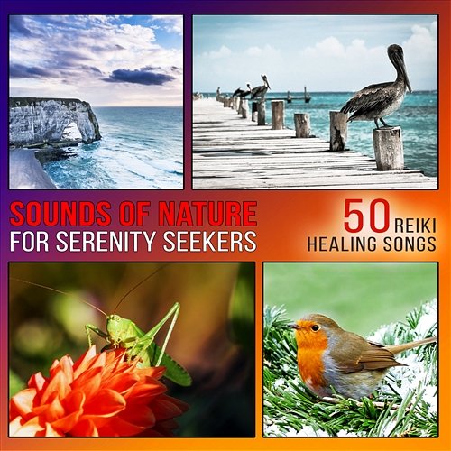 Sounds of Nature for Serenity Seekers: Be Calm - 50 Reiki Healing Songs for Yoga Meditation & Relax, Zen Music for Spa Massage Emotional Healing Intrumental Academy