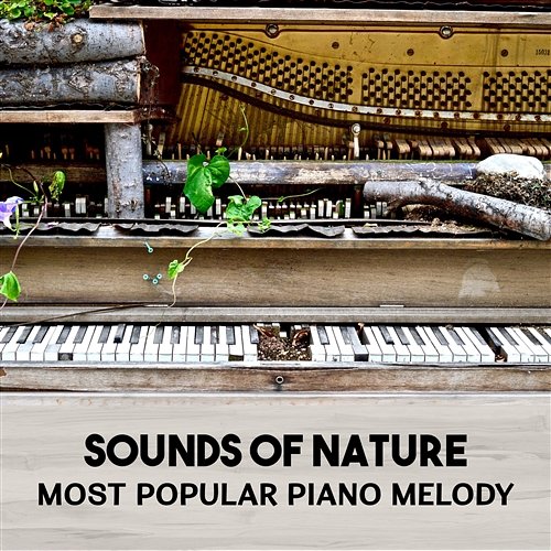 Sounds of Nature – Most Popular Piano Melody – Music for Relaxation, Total Relaxing Music for Evening Mindfulness Meditation Mind Improvement Society