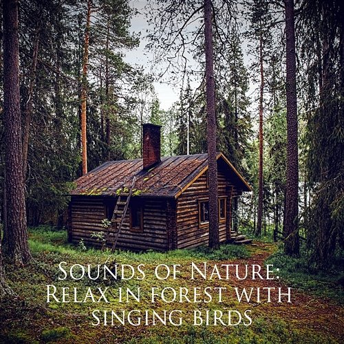 Sounds of Nature: Relax in Forest With Singing Birds Relaxing Vibe