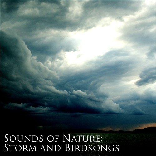 Sounds of Nature: Storm and Birdsongs Relaxing Vibe