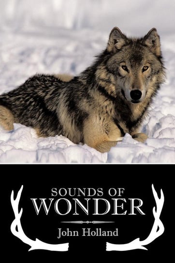 Sounds of Wonder Holland John