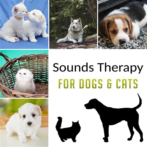 Sounds Therapy for Dogs & Cats: Music to Relax & Calm Down Your Pets, Stress Reduction, Anxiety Free, Nature Sounds for Pets Comfort Pet Care Club, Pet Music Academy