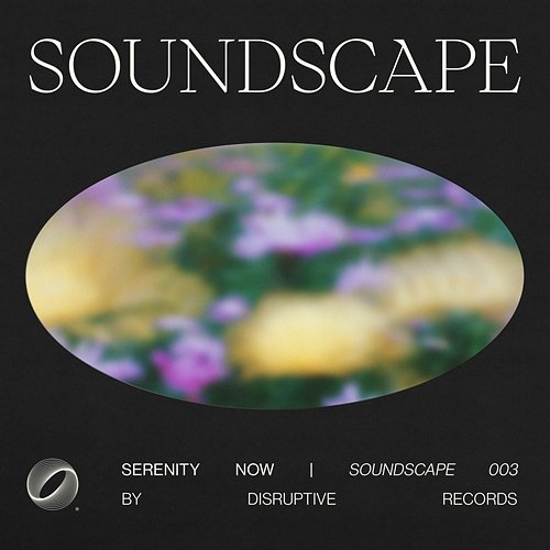 Soundscape 003 | Serenity Now Various Artists