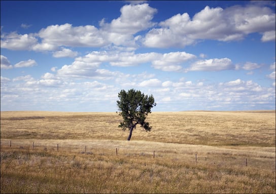 South Dakota rural scene, Carol Highsmith - plakat 70x50 cm Galeria Plakatu