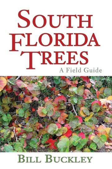 South Florida Trees Buckley Bill