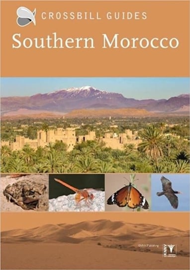 Southern Morocco Martin Pitt