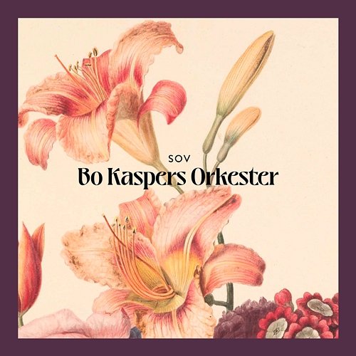 Sov Bo Kaspers Orkester