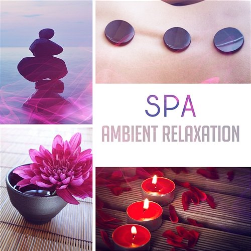 Spa: Ambient Relaxation – 50 Music for Wellness, Relax & Stress Reduction, Natural Aid for Insomnia, Healing Zone Tranquility Day Spa Music Zone