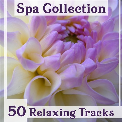 Spa Collection: 50 Relaxing Tracks – Healing Nature Music for Massage, Magic Time, Calm Mind & Total Rest, Ultimate Instrumental New Age Spa Music Paradise Zone