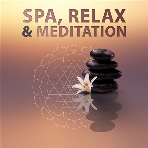 Spa, Relax & Meditation: Top 100 Relaxing Tracks for Gentle Massage, Deep Meditation, Complete Relax Various Artists