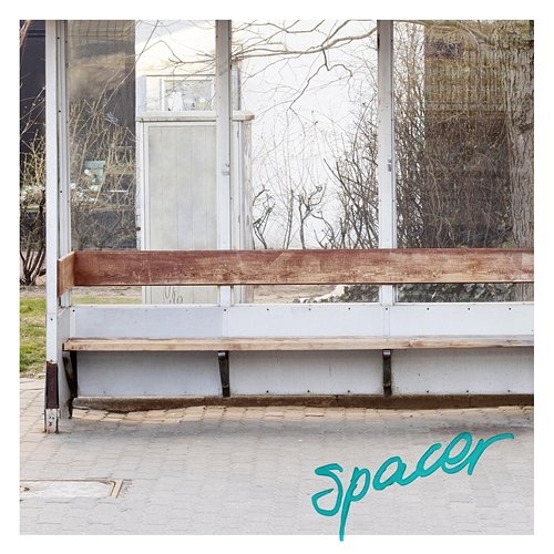 spacer shama