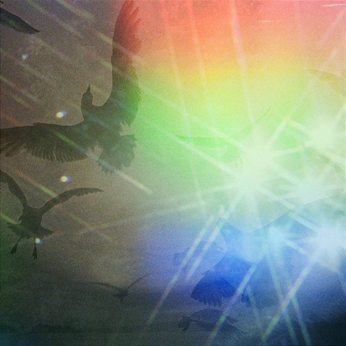 Sparks Cornelius