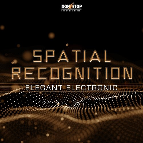 Spatial Recognition Seth Miles Norman
