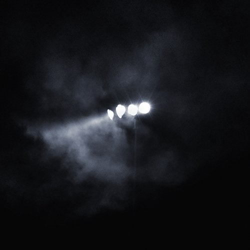 Speciwing Moon Flux