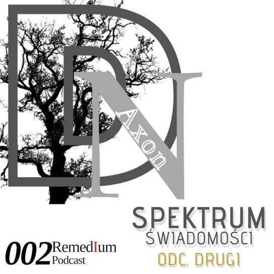 Spektrum świadomości odc. 2 Bartosz z Projektu DNAxon - Remedium - Podcast o rozwoju osobistym - podcast Dariusz z Remedium