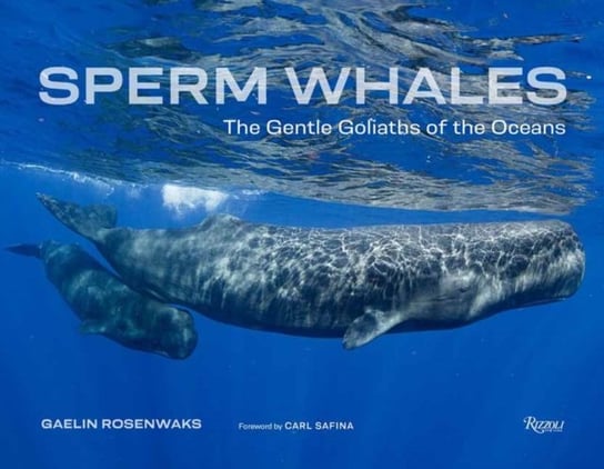 Sperm Whales: The Gentle Goliaths of the Ocean Gaelin Rosenwaks