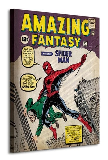 Spider-Man Issue 1 - obraz na płótnie Marvel