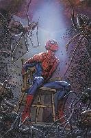 Spider-man's Tangled Web Omnibus Ennis Garth, Rucka Greg, Milligan Peter