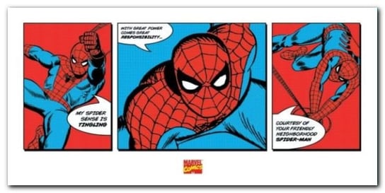 Spider-mann plakat obraz 100x50cm Wizard+Genius