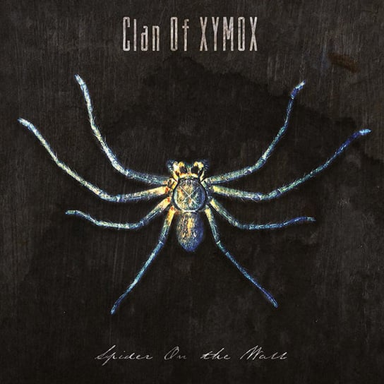 Spider On The Wall Clan of Xymox