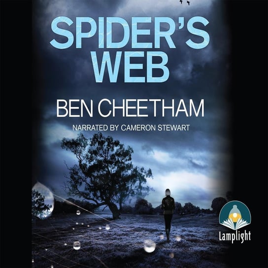Spider's Web Ben Cheetham