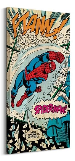 Spiderman Punch - obraz na płótnie Marvel