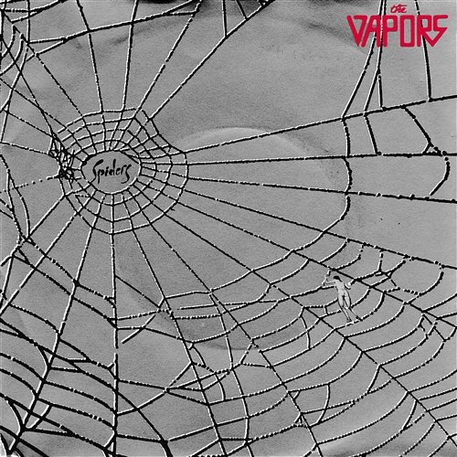 Spiders The Vapors