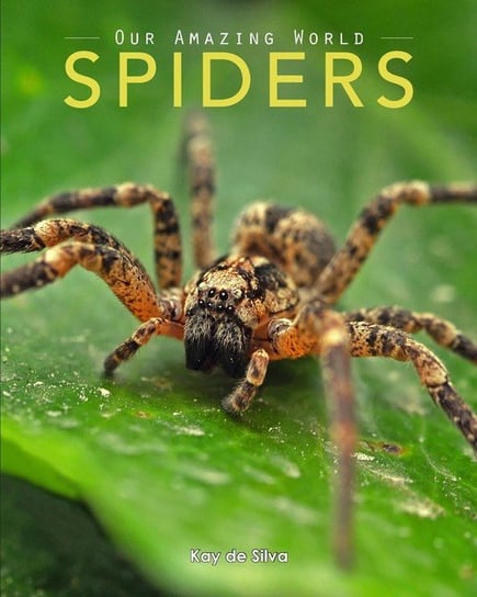Spiders de Silva Kay