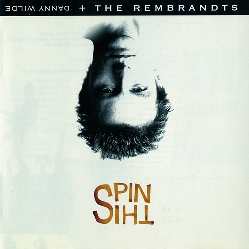 Spin This The Rembrandts, Danny Wilde