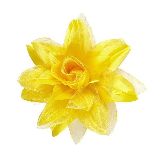 Spinka żółty kwiat lotosu Widmann