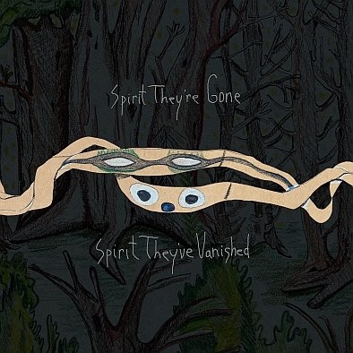 Spirit They're Gone, Spirit They've Vanished (Remastered) (Limited Edition) (winyl w kolorze zielonej trawy) Animal Collective