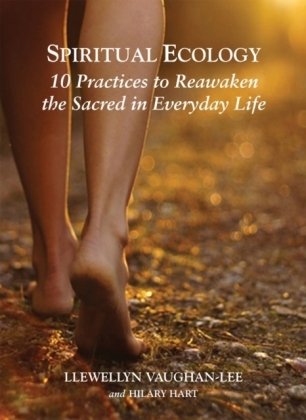 Spiritual Ecology: 10 Practices to Reawaken the Sacred in Everyday Life Vaughan-Lee Llewellyn, Hart Hilary
