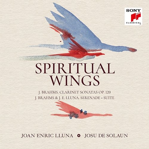 Spiritual Wings Joan Enric Lluna