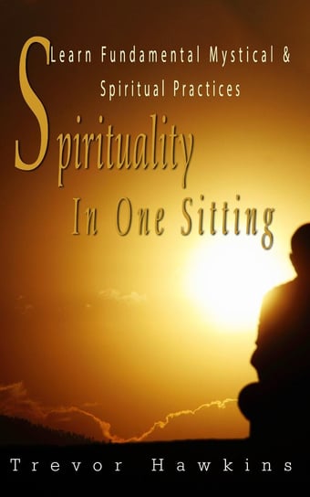 Spirituality In One Sitting Trevor Hawkins
