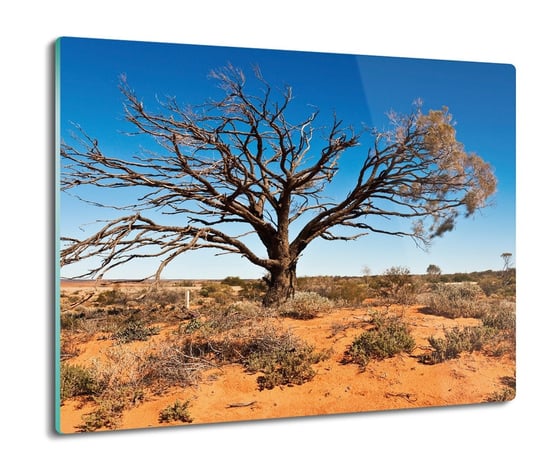 splashback z grafiką Drzewo busz pustynia 60x52, ArtprintCave ArtPrintCave